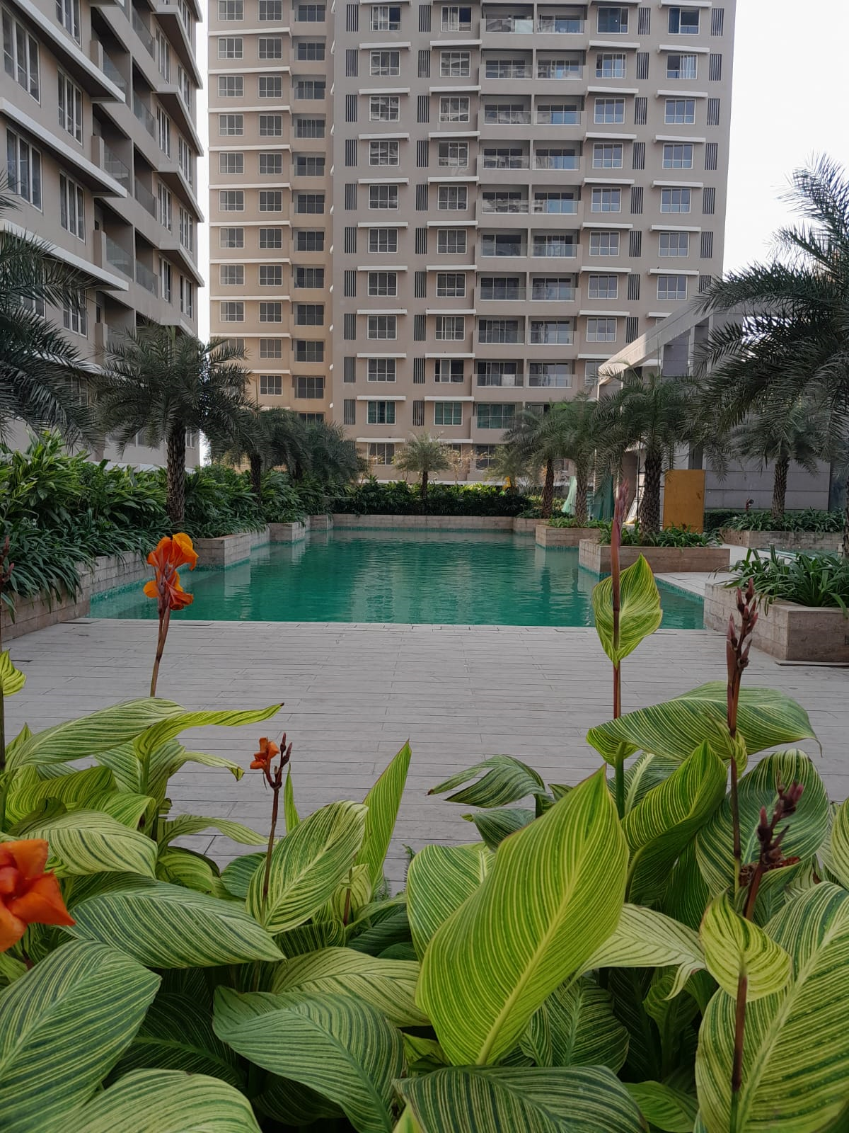 2 BHK in Kalpataru Radiance, Goregaon West - Photo 6