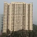 Parijat Hill View