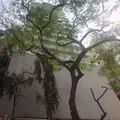 Westend Apartment