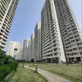 1 BHK in Tower 14 Veridian L & T Emerald Isle