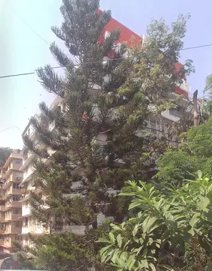 New Shree Niketan