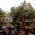 Jal Darshan