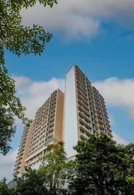 Kukreja Complex