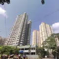 Pride Palms