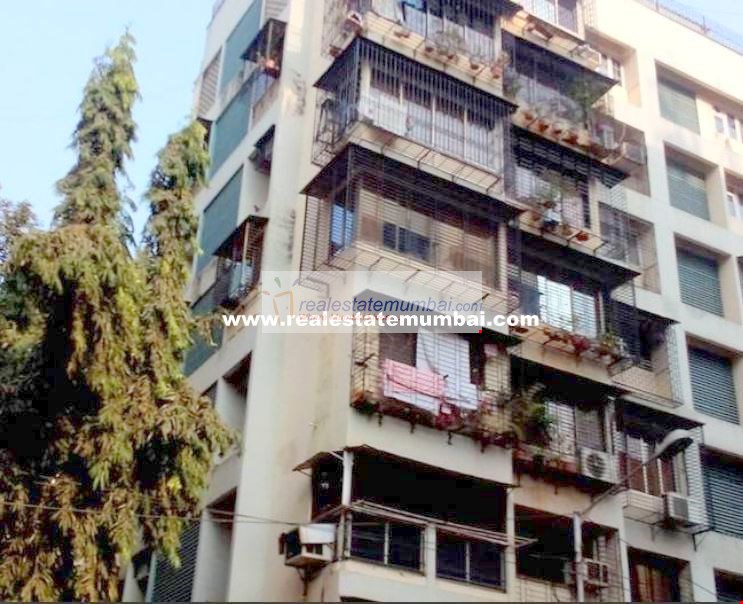 1 BHK unknown in Benzer Apartment , Andheri West