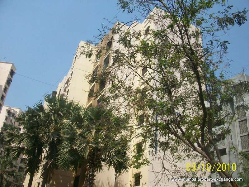 2 BHK Fully Furnished in Blue Empire, Kandivali West - Photo 4
