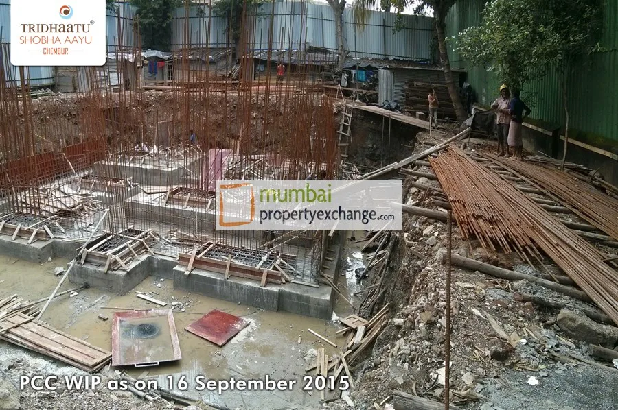 Tridhaatu Shobha Aayu