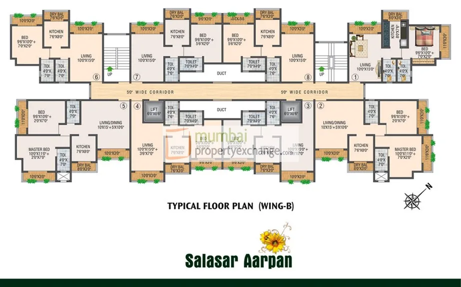 Salasar Aarpan A Wing