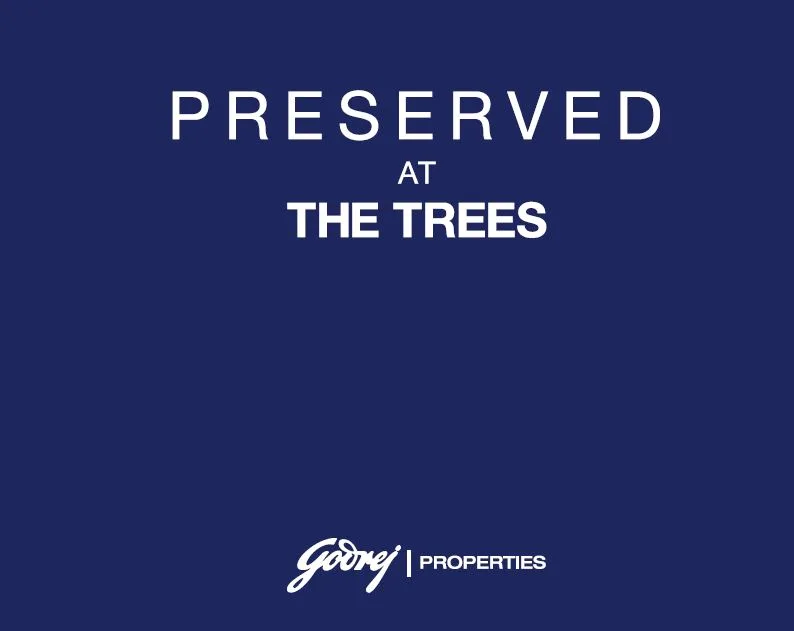 The Trees, Origins