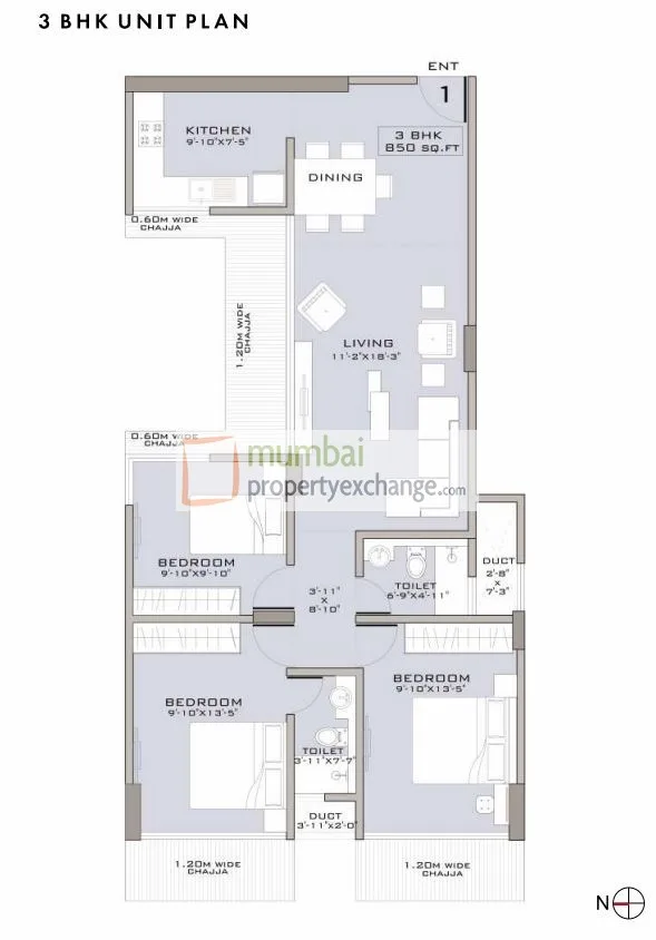 Ruparel Elavia