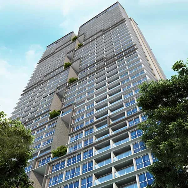 Aveza Phase 1