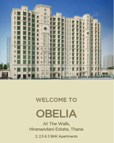 Obelia A