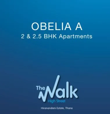 Obelia A