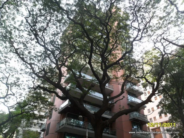 Anand Apartments