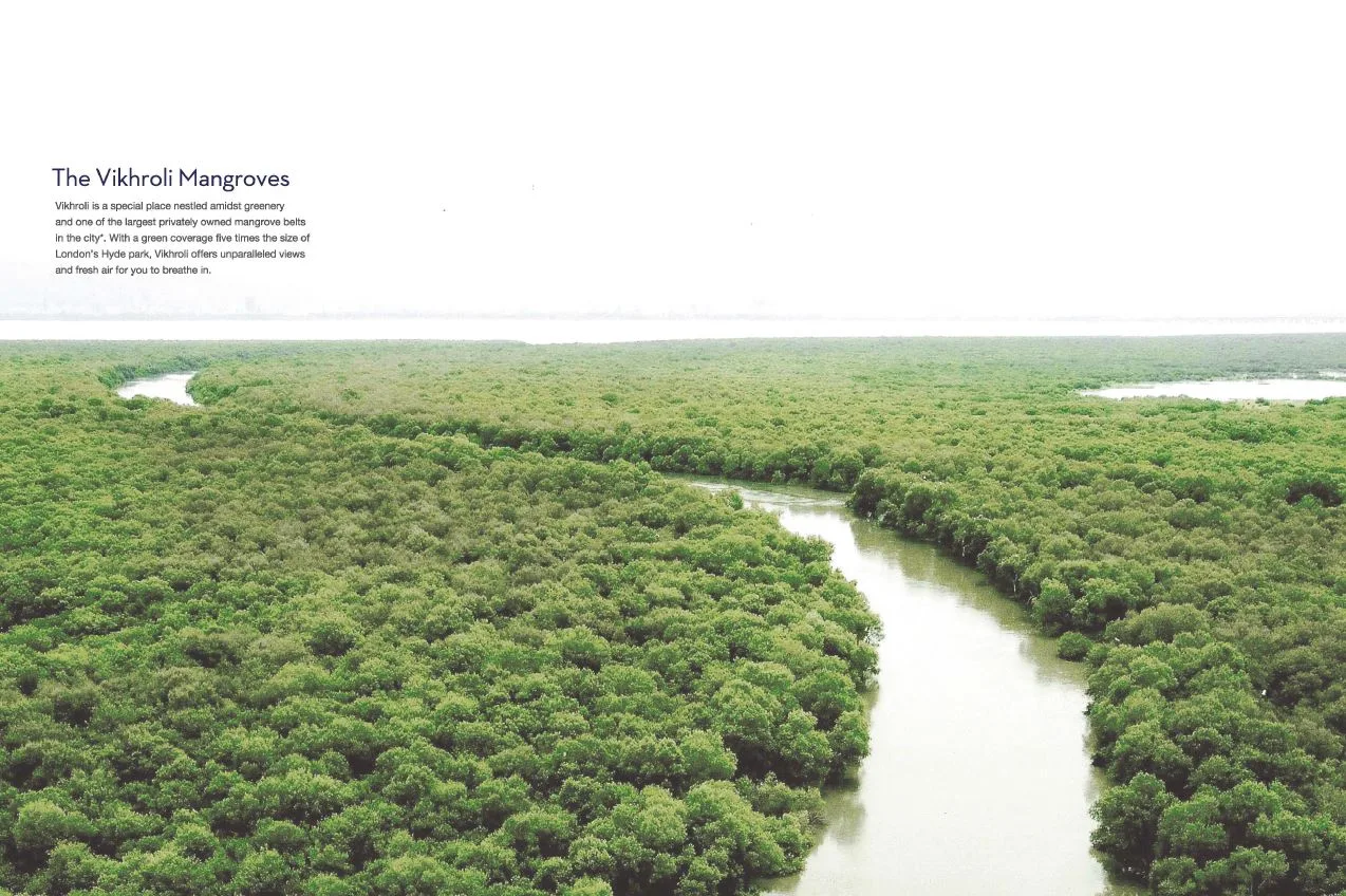 The Trees, Origins