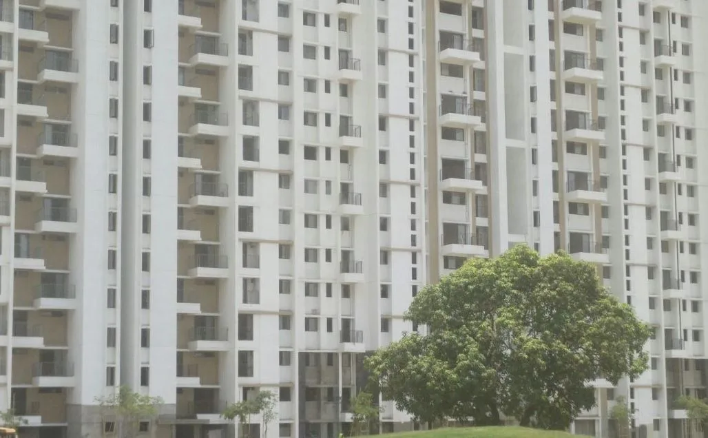 Palava Aurora B, C