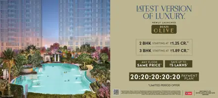 Dosti West County Olive