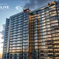 Tribeca Trilive
