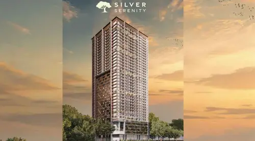 Silver Serenity