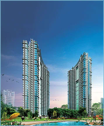 Orchid West View
