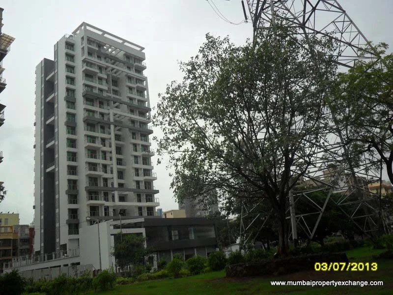Swaraj Daffodils
