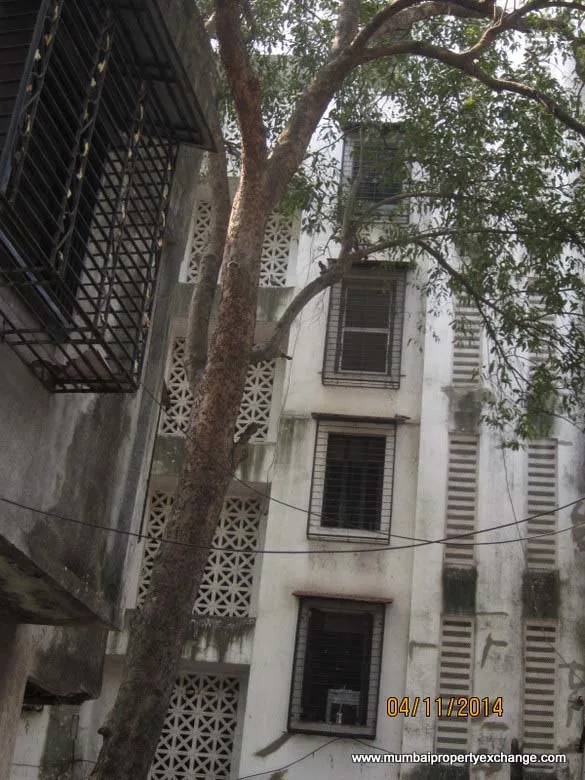 Swastik House
