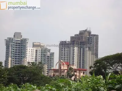 City Of Joy