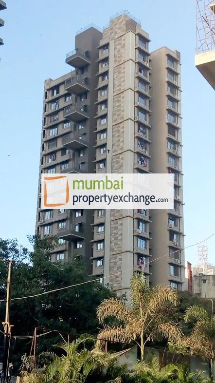 Lotus Height