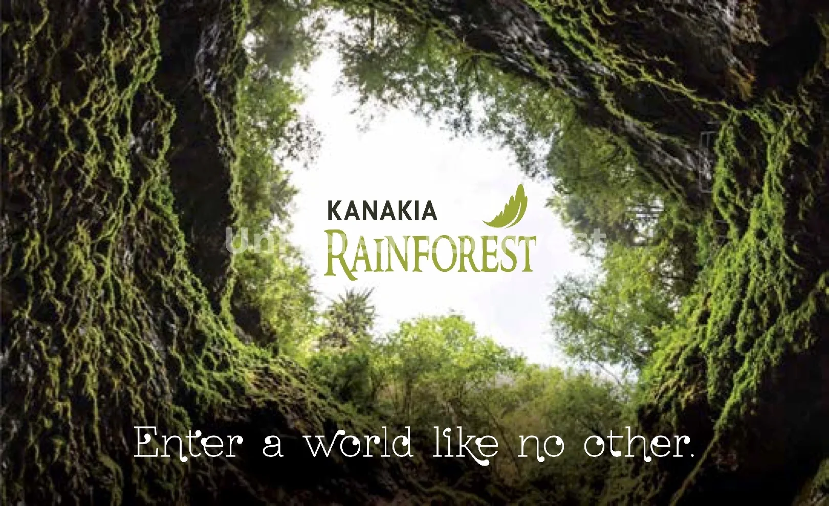 Kanakia Rainforest