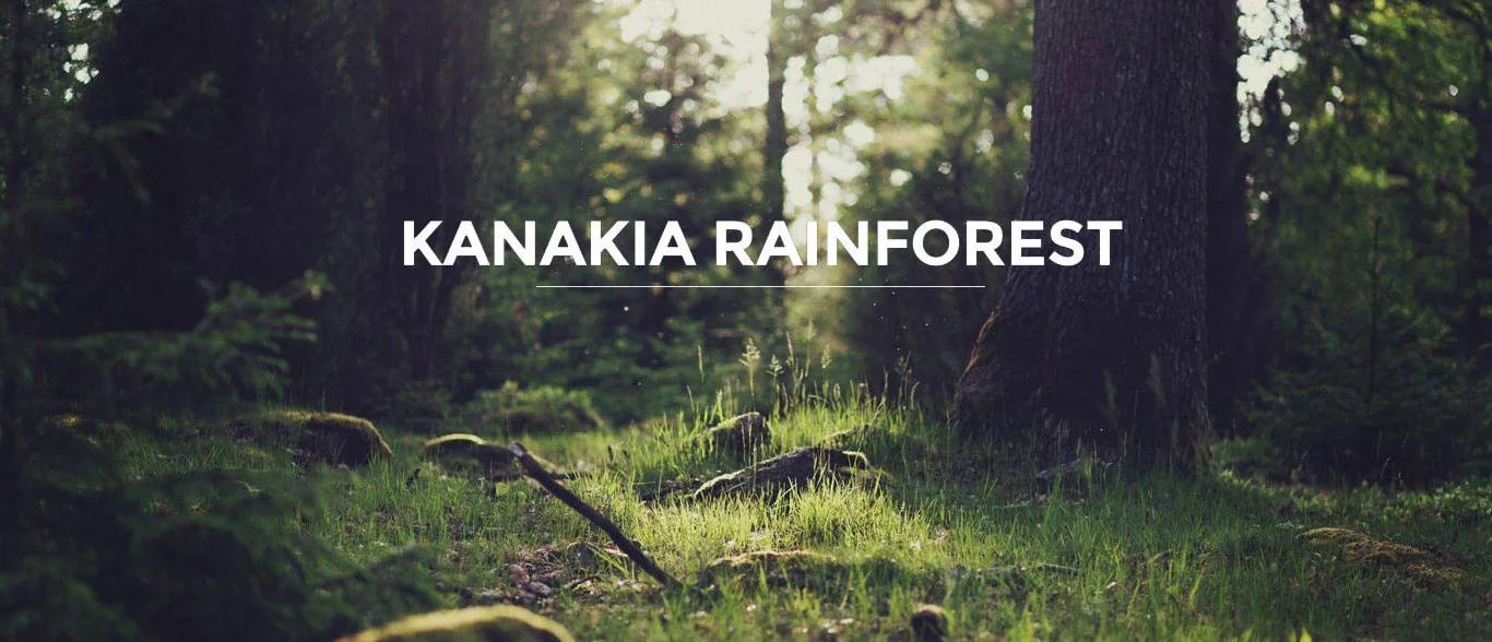 Kanakia Rainforest