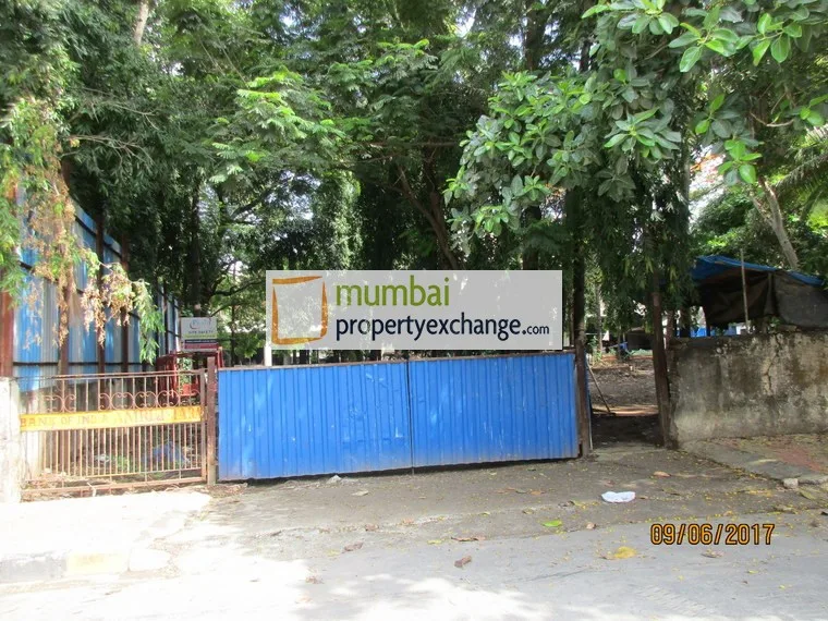 Amrut Tara