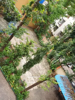 Udadhi Tarang